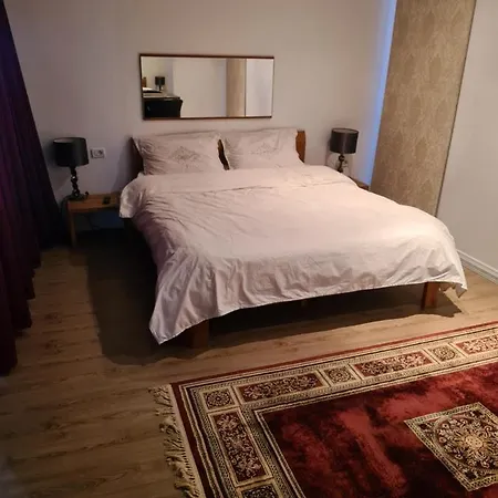Muncitori * Konstanca